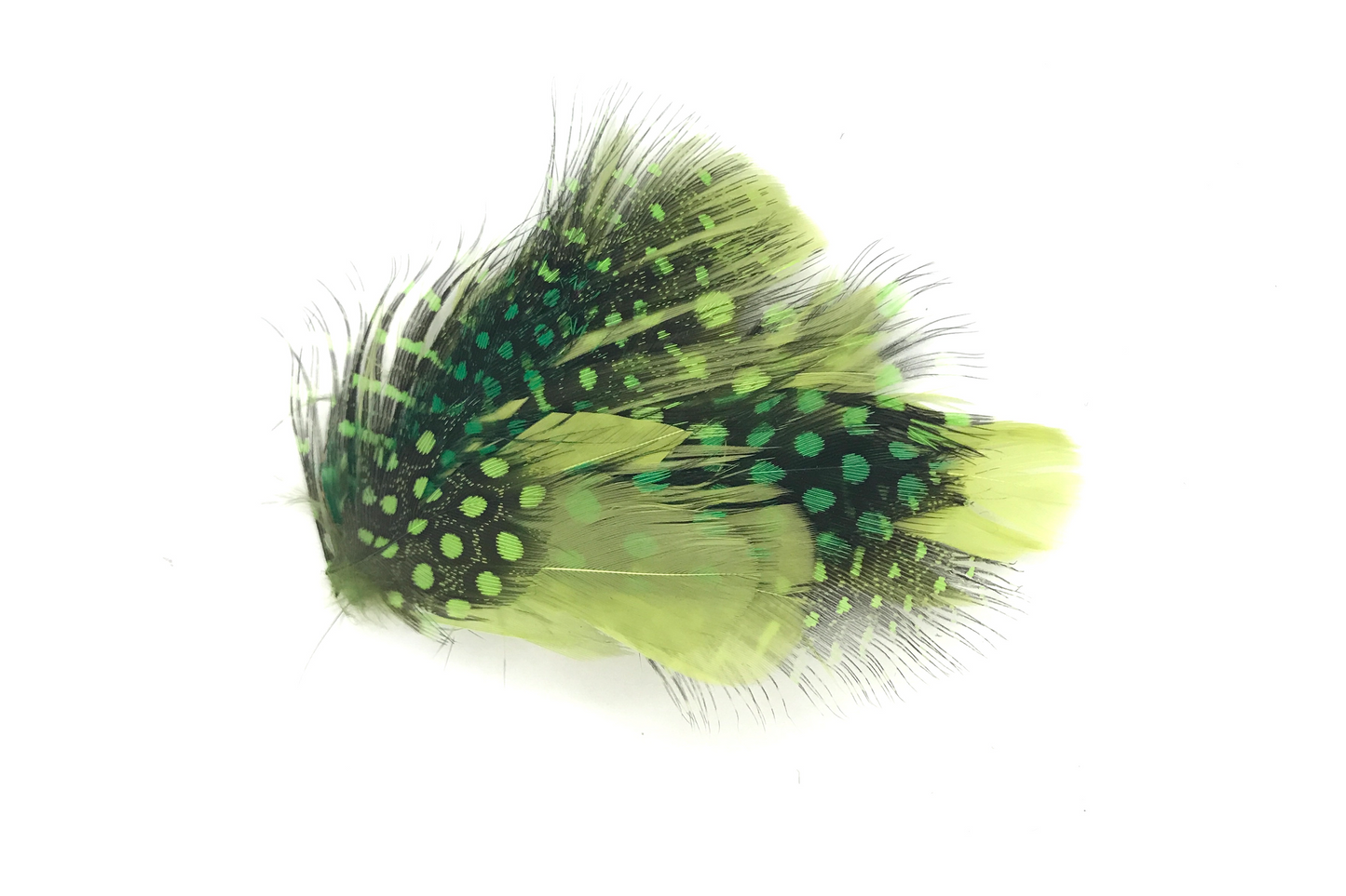 Simone Green Light