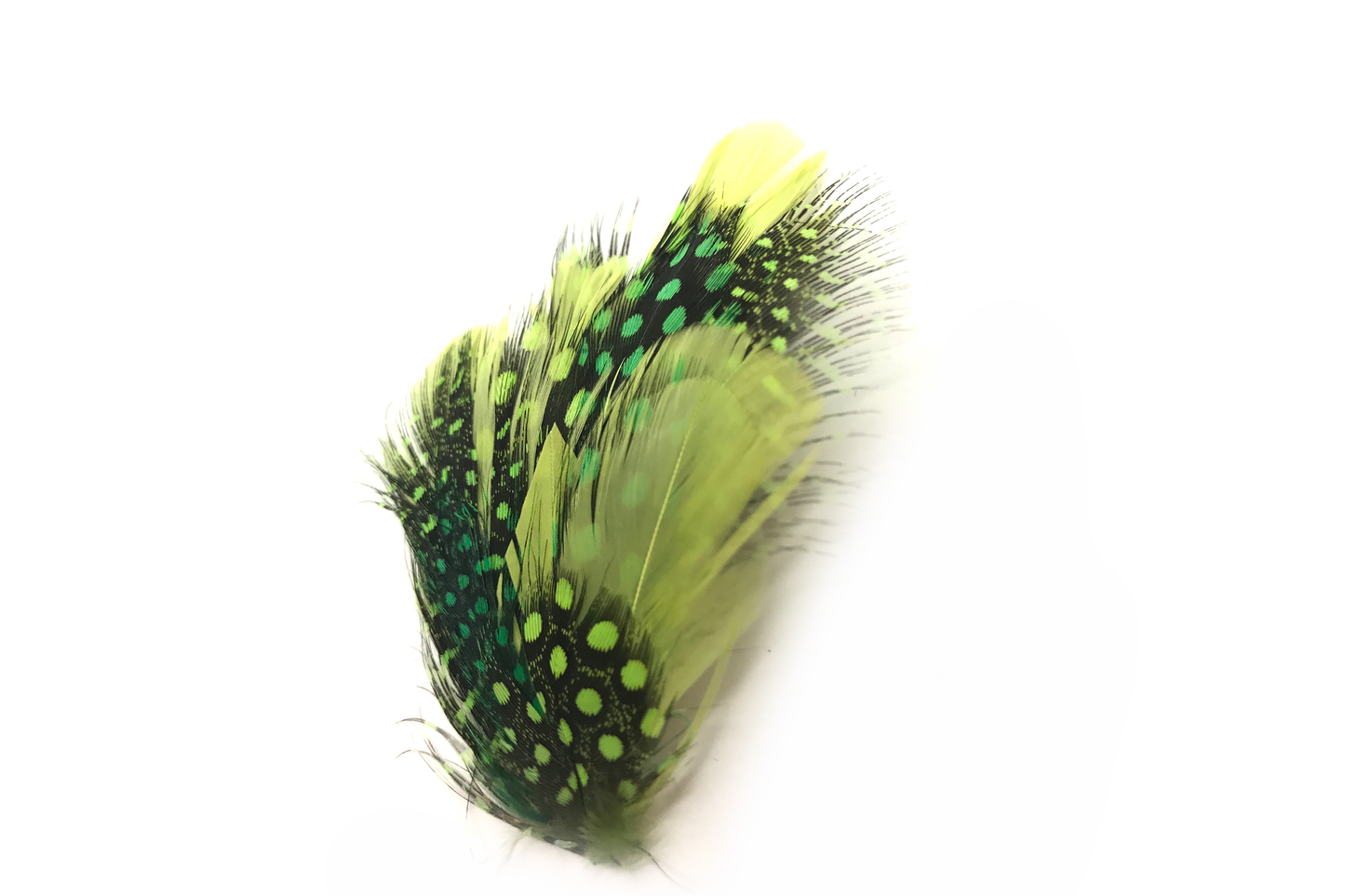 Simone Green Light
