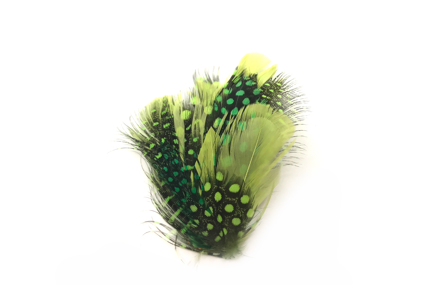 Simone Green Light